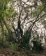 00395.jpg
