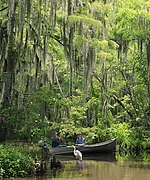Filename=01335.jpg
Filesize=2082KiB
Dimensions=3000x1250
Date added=14.06.25 01335.jpg