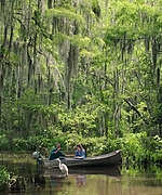 Filename=01336.jpg
Filesize=1886KiB
Dimensions=3000x1250
Date added=14.06.25 01336.jpg