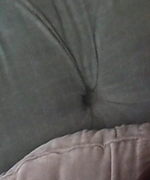 156.jpg