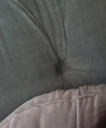 157.jpg