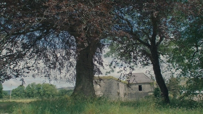 1981.jpg