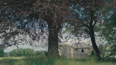 1983.jpg