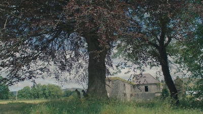 1984.jpg