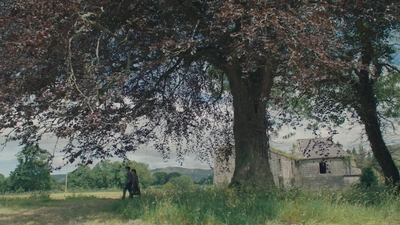 1991.jpg