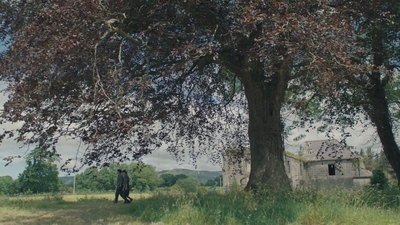 1993.jpg
