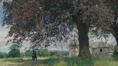 1995.jpg