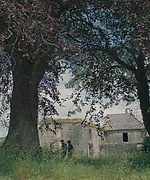 1976.jpg