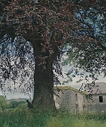 1983.jpg