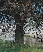 1984.jpg