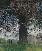1986.jpg